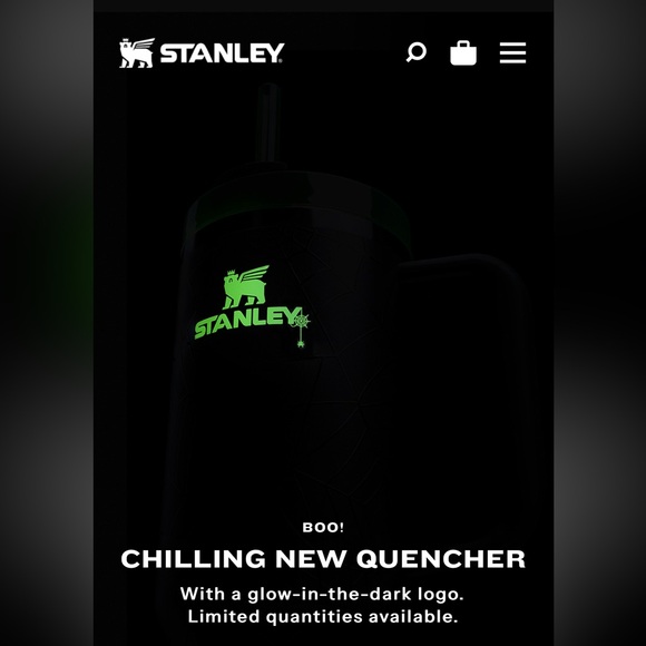 🕸️ STANLEY THE HALLOWEEN GLOW QUENCHER FLOWSTATE™ TUMBLER | 40 OZ 🕸️ - Picture 8 of 15